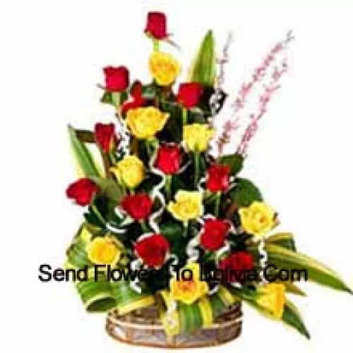 Panier de 11 roses jaunes et 12 roses rouges avec des remplisseurs saisonniers
